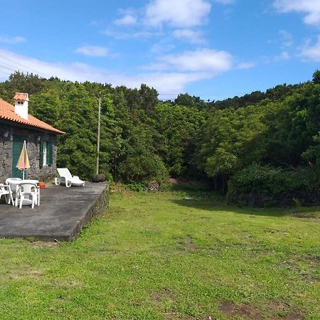 Azores Hibiscus House - Mountain And Sea São Roque do Pico المظهر الخارجي الصورة